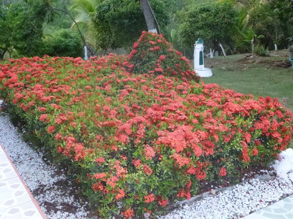 Villa Ludivine Sainte-Anne  Rum bild