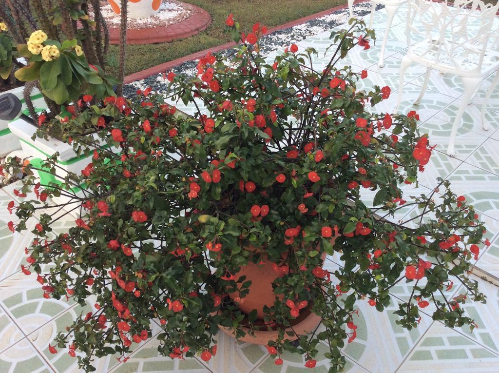 Villa Ludivine Sainte-Anne  Rum bild